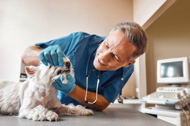 Best Weekend Emergency Dentist in Radford, VA